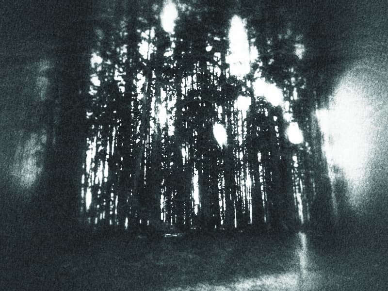 Though the Mists: a forlorn journey through the Domains of Dread