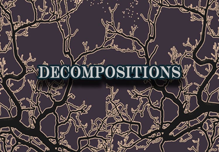 Decompositions banner