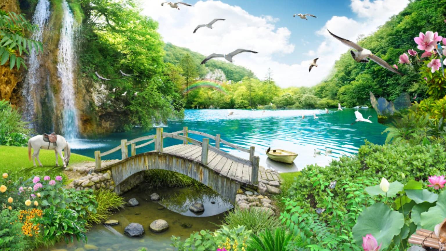 The Oasis