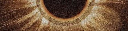 Ritzy banner