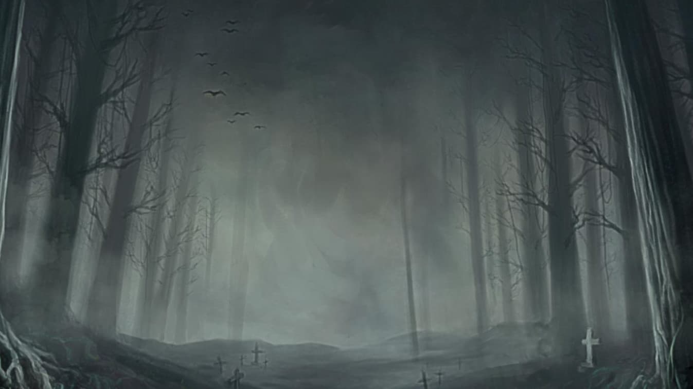 Baroviia i inne środowiska naturalne