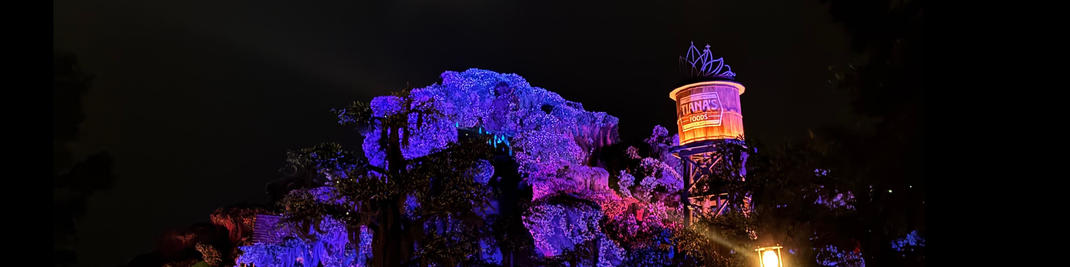 Auggie Lott banner