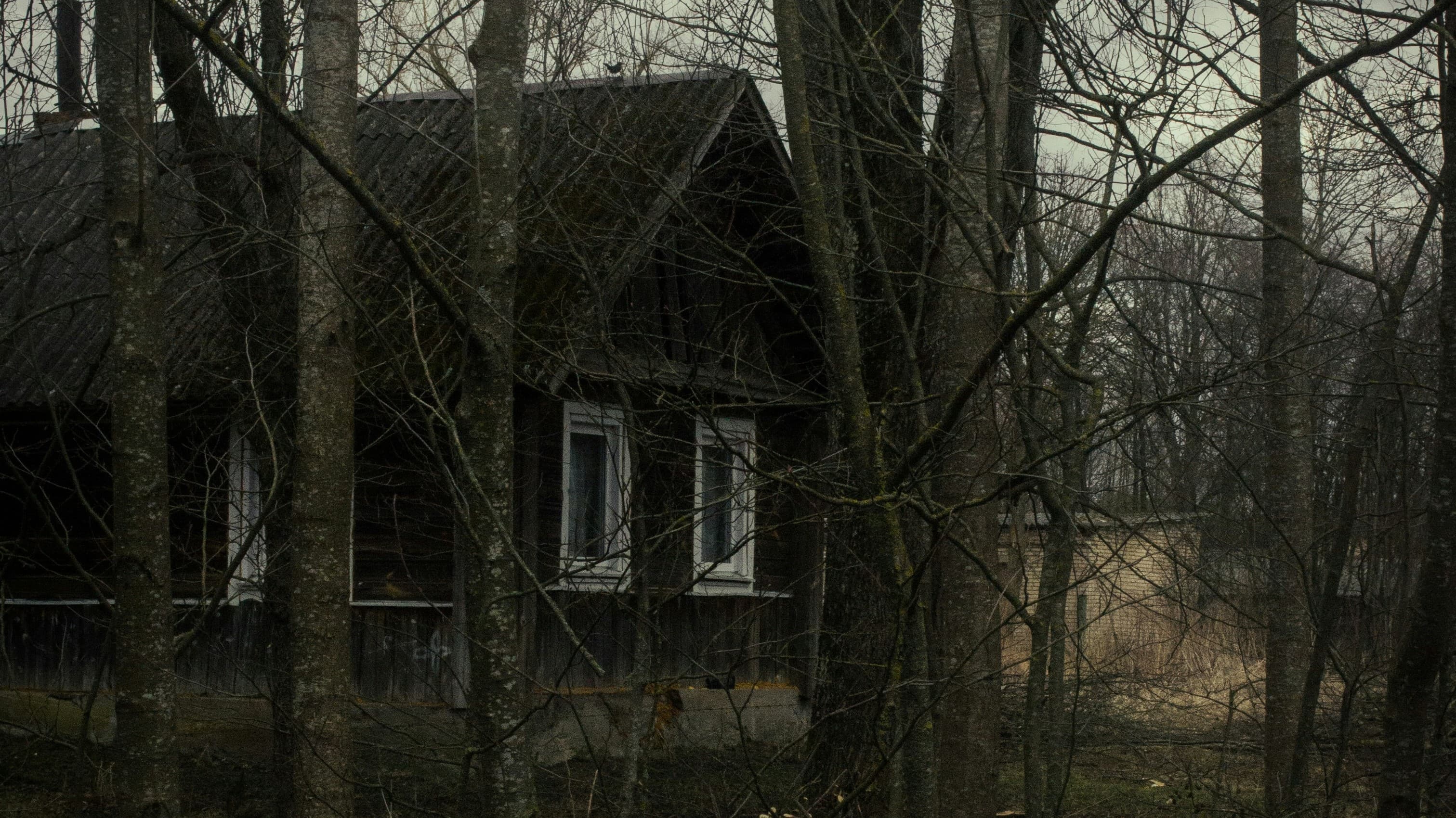 The Last Favor (A Call of Cthulhu Story-Driven Two-Shot)