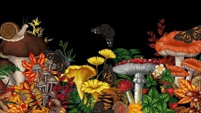 Fungi Arisen: Tiny Titans