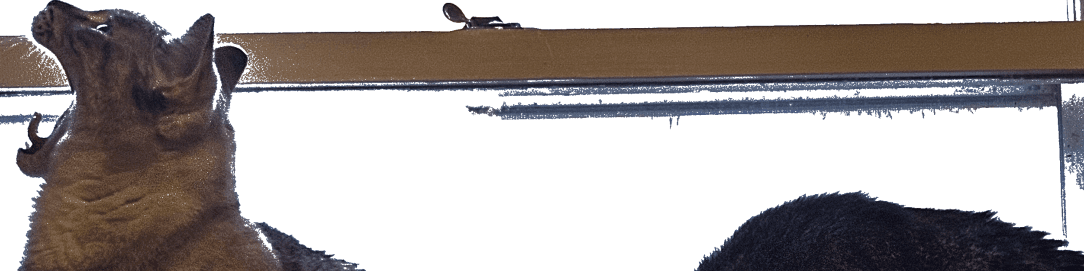 Alex (WaityGhost) banner