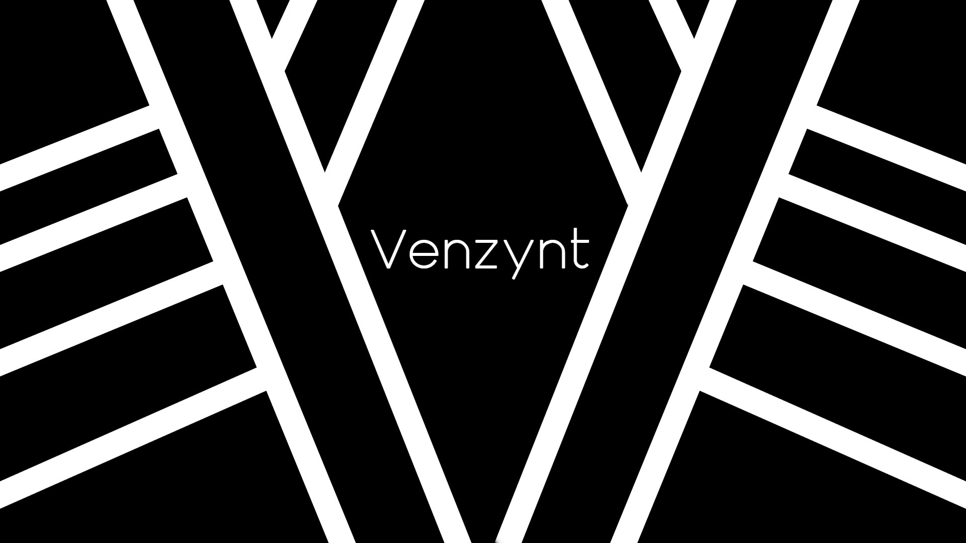 Venzynt banner