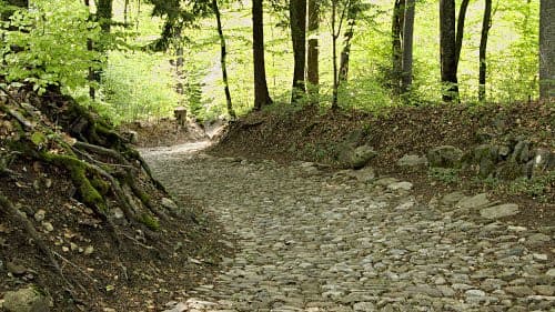 DM Kaellie C.  banner