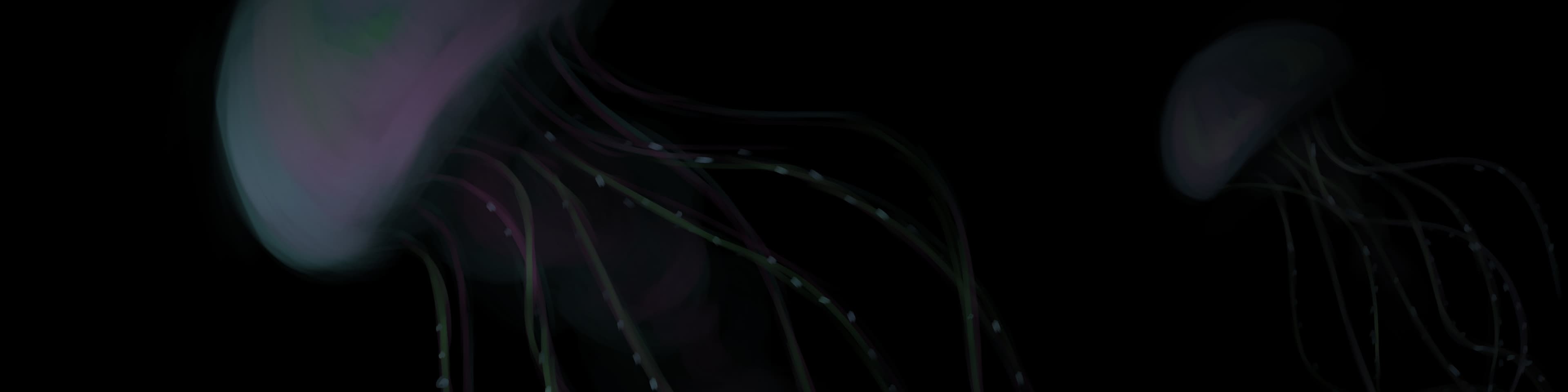 V banner