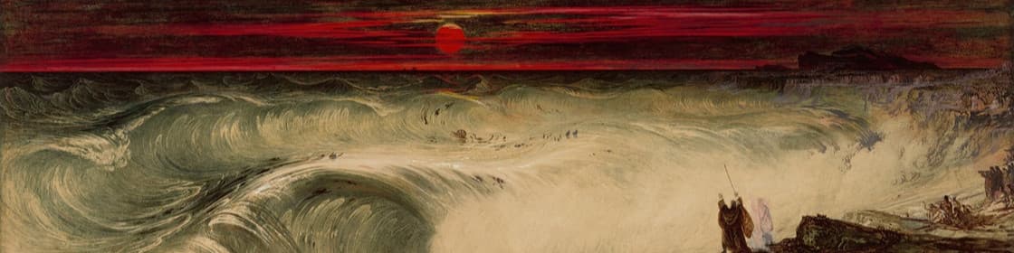 Johnnieboi banner
