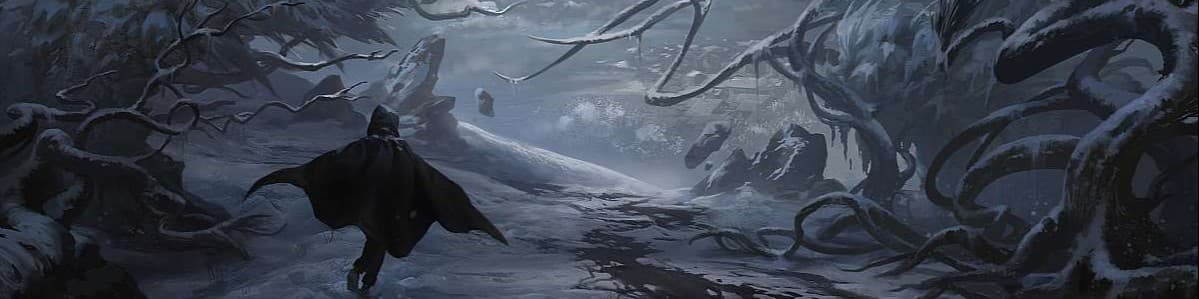 Wander Boesjes banner