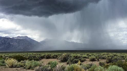 Tusks & Torrents: Pathfinder 2e Triumph of the Tusk 2-hr session