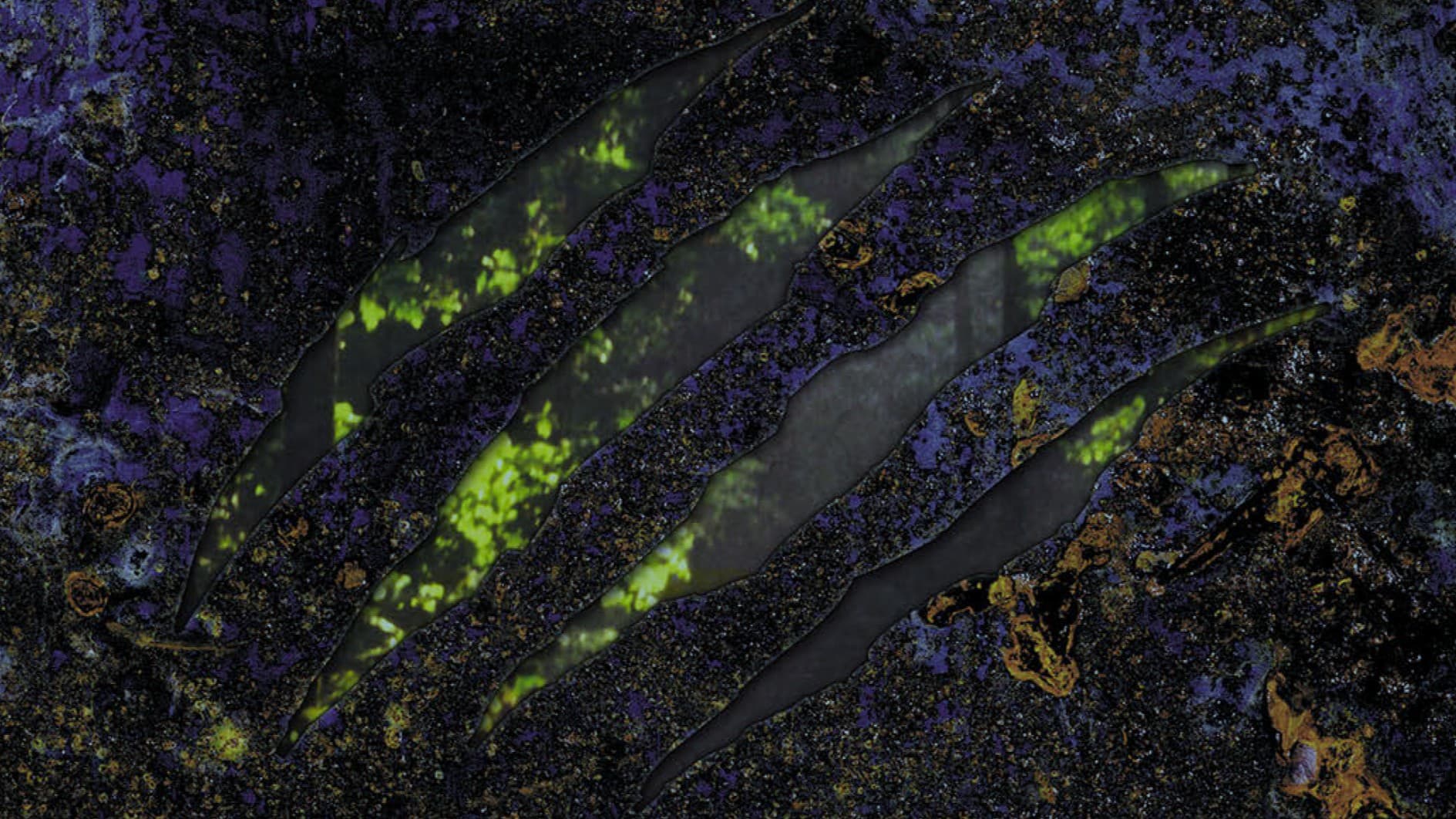 Rage Across the Football Field