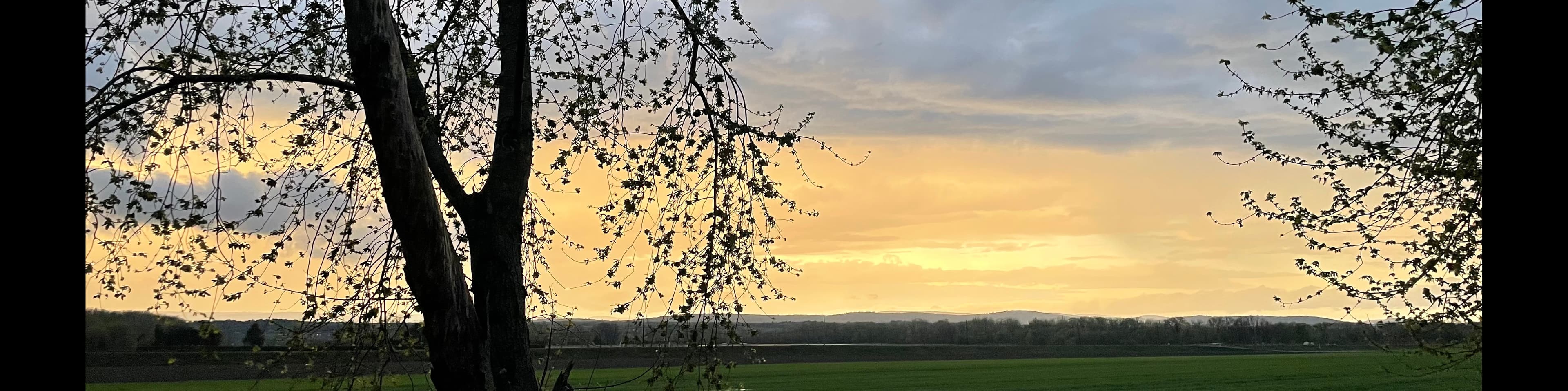 Adam, the Multifarious banner