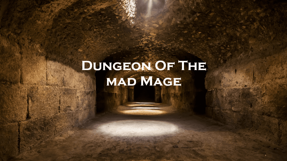 Level 5+ Dungeon Crawler! || Dungeon of the Mad Mage