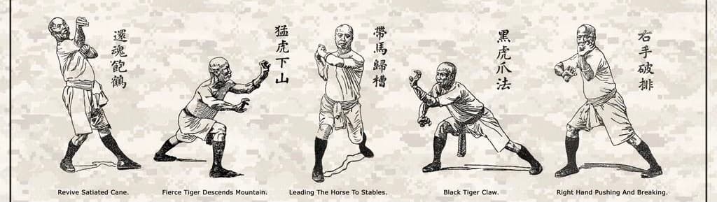 Fight Club 101 : Learn to Become the Best at Combat