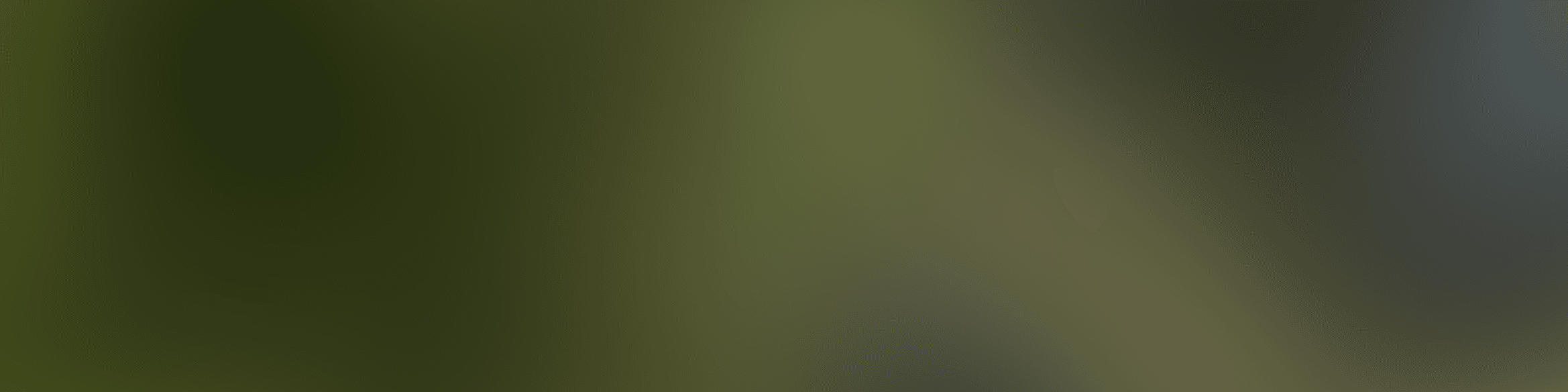 Danielle banner