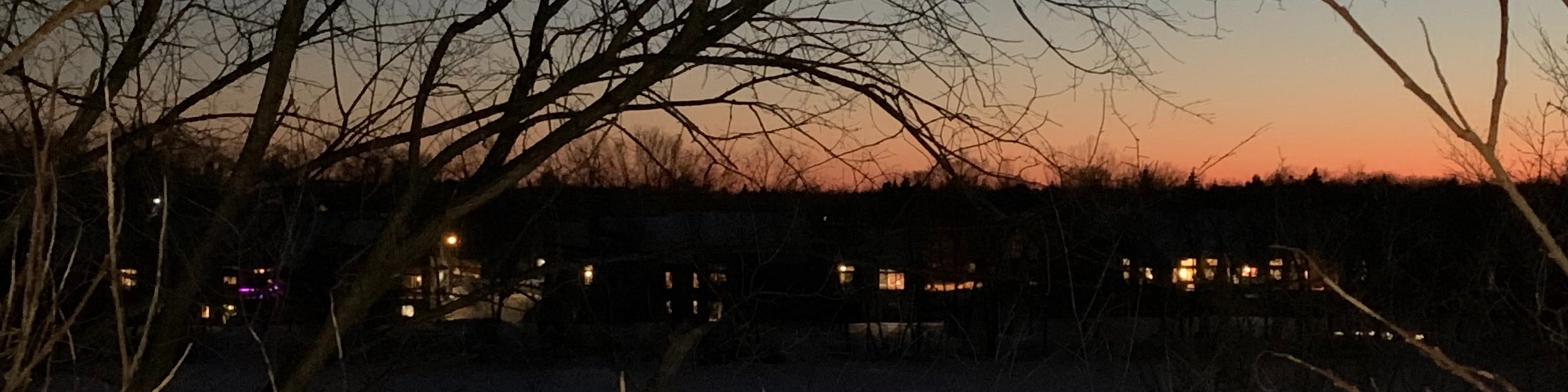 YourLocalSaiko banner