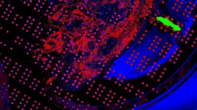 Saga of Broken Birds | Endless high fantasy adventures!