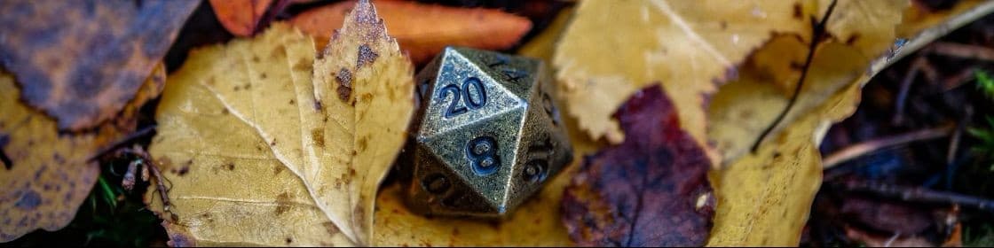 Zac | Worldsinger Zetego banner