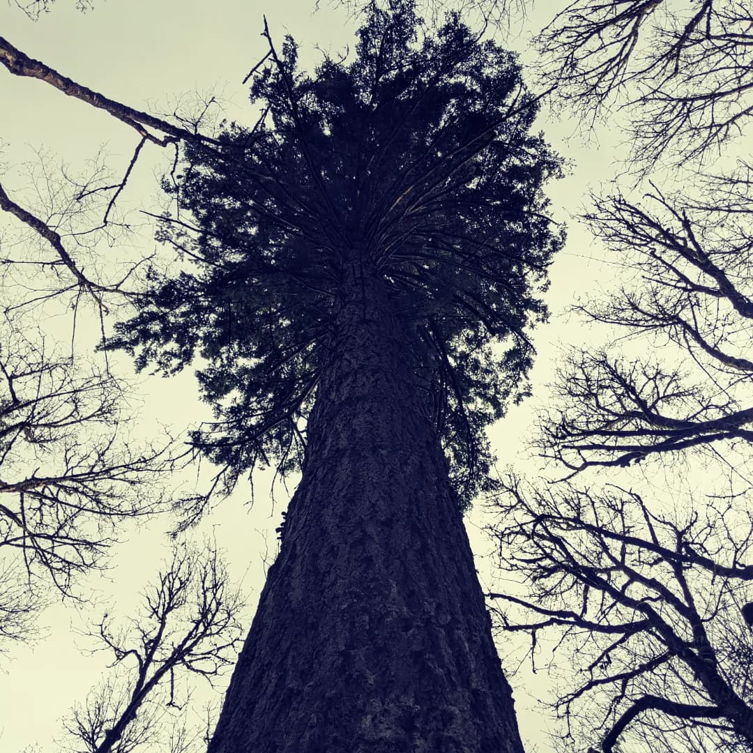 Alexander Roberts 🏳️‍🌈 banner