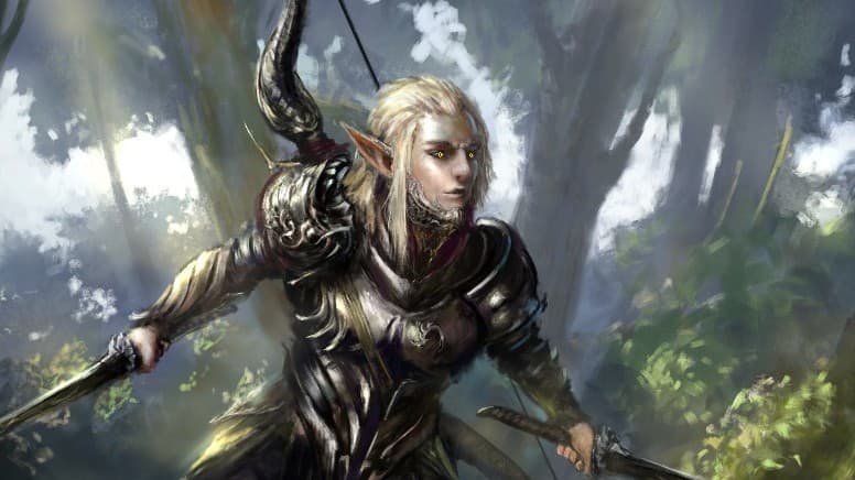 Learn to play DnD! Be a Hero of the borderlands!