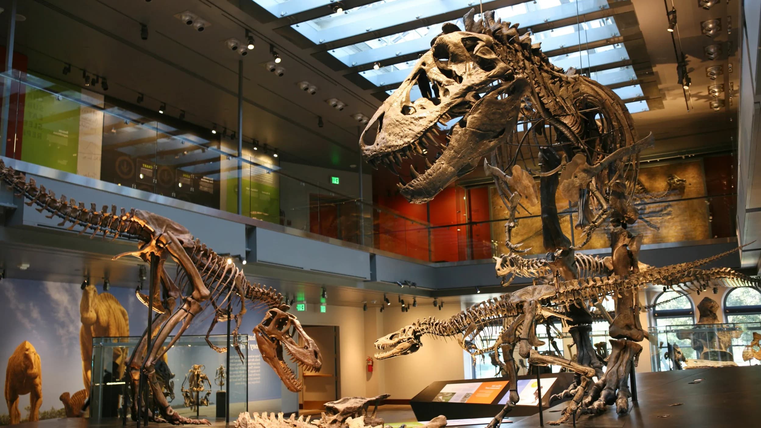 Ten Candles - Night at the Museum [OneShot]