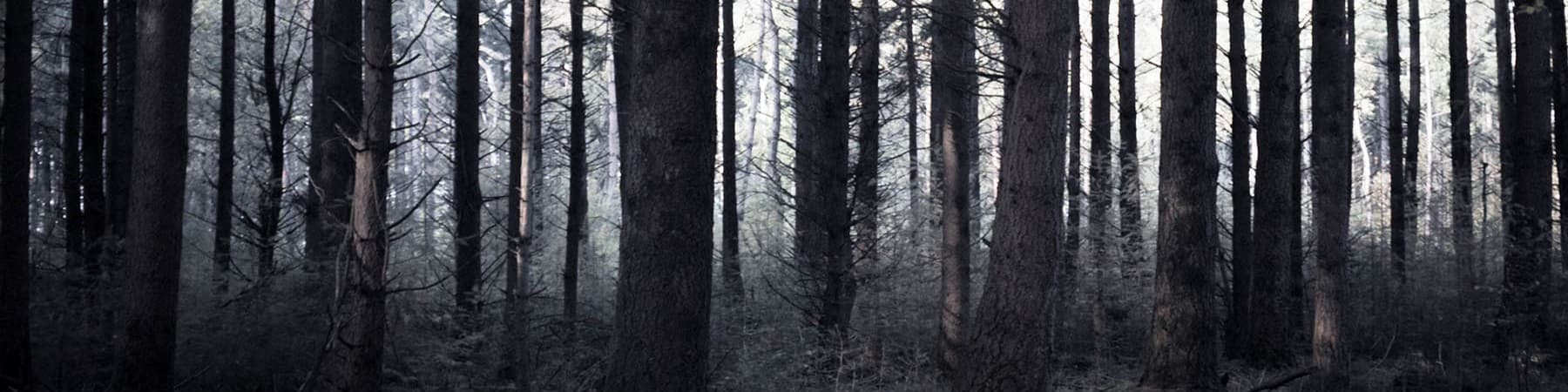 Isak banner