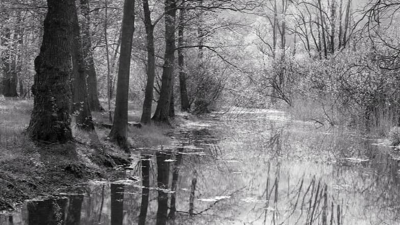 La noche de los muertos que caminan 🧟‍♀️