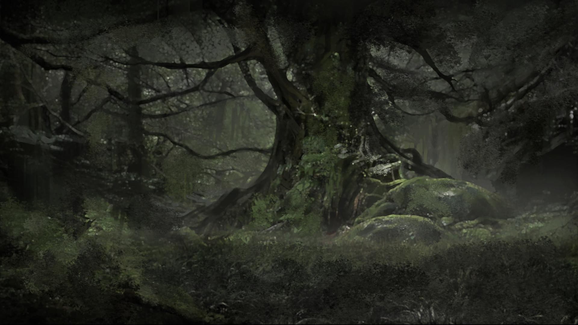 Mystery at the Elderwood Forrest