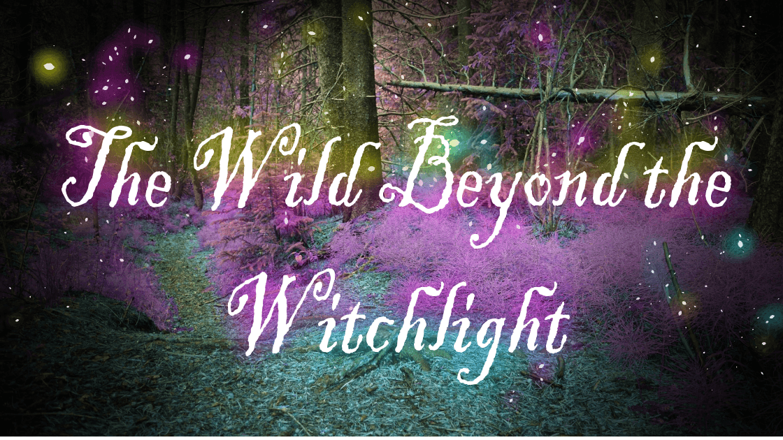 Wild Beyond the Witchlight for Beginner Players