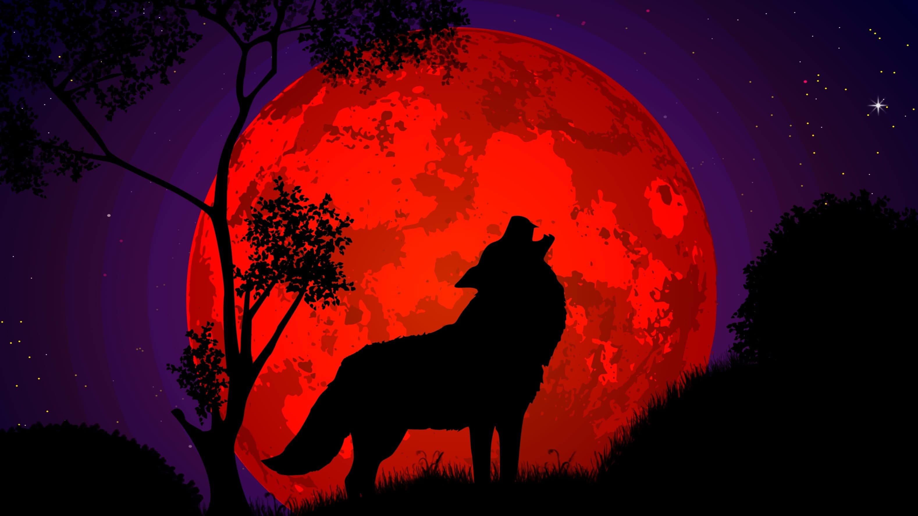 Curse of Stradh 5e - Grimdark Fantasy Horror - LGBTQIA+ Friendly