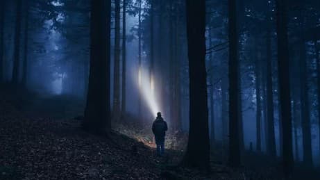 Summer Camp Search Party