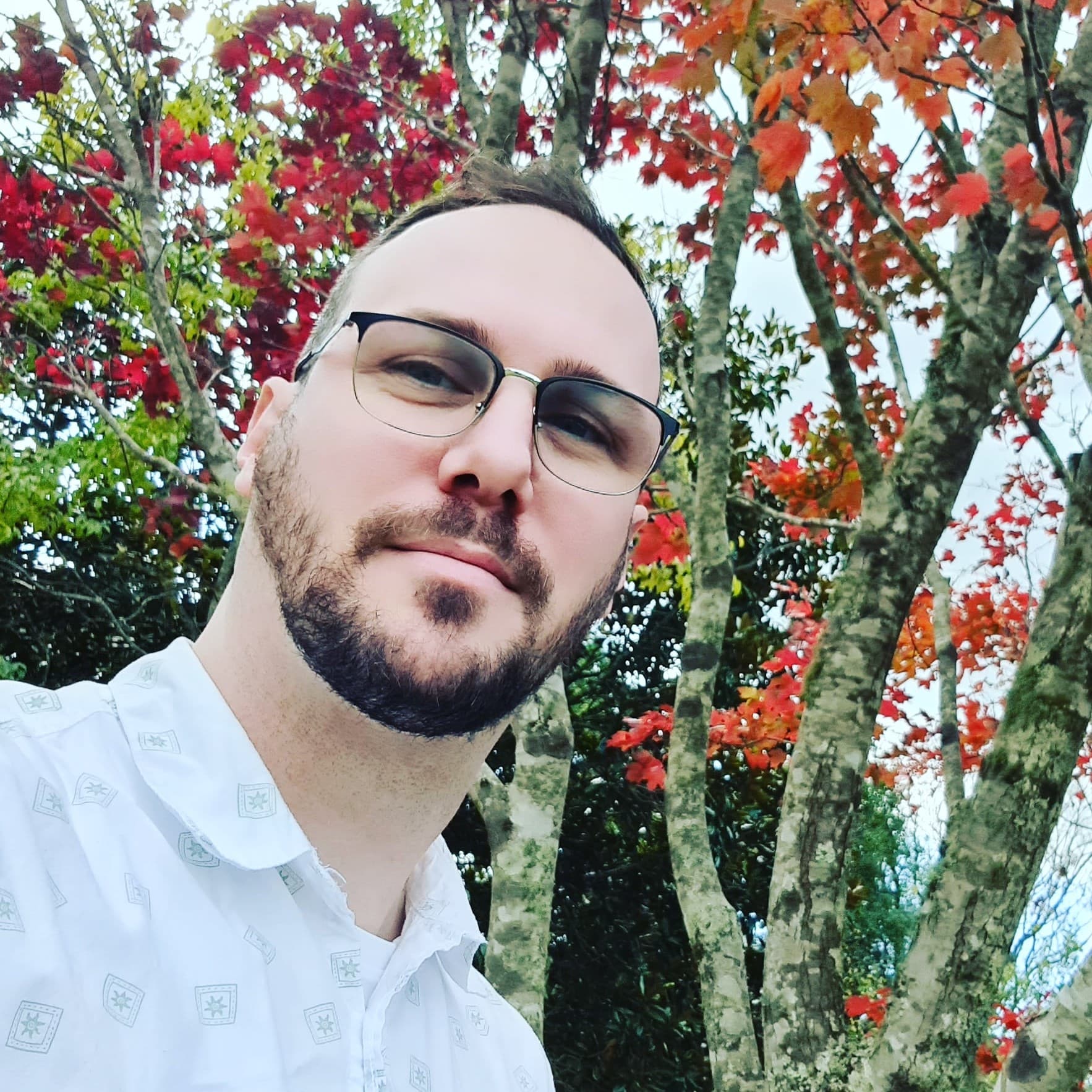 Nicholas Stanton-Cook avatar