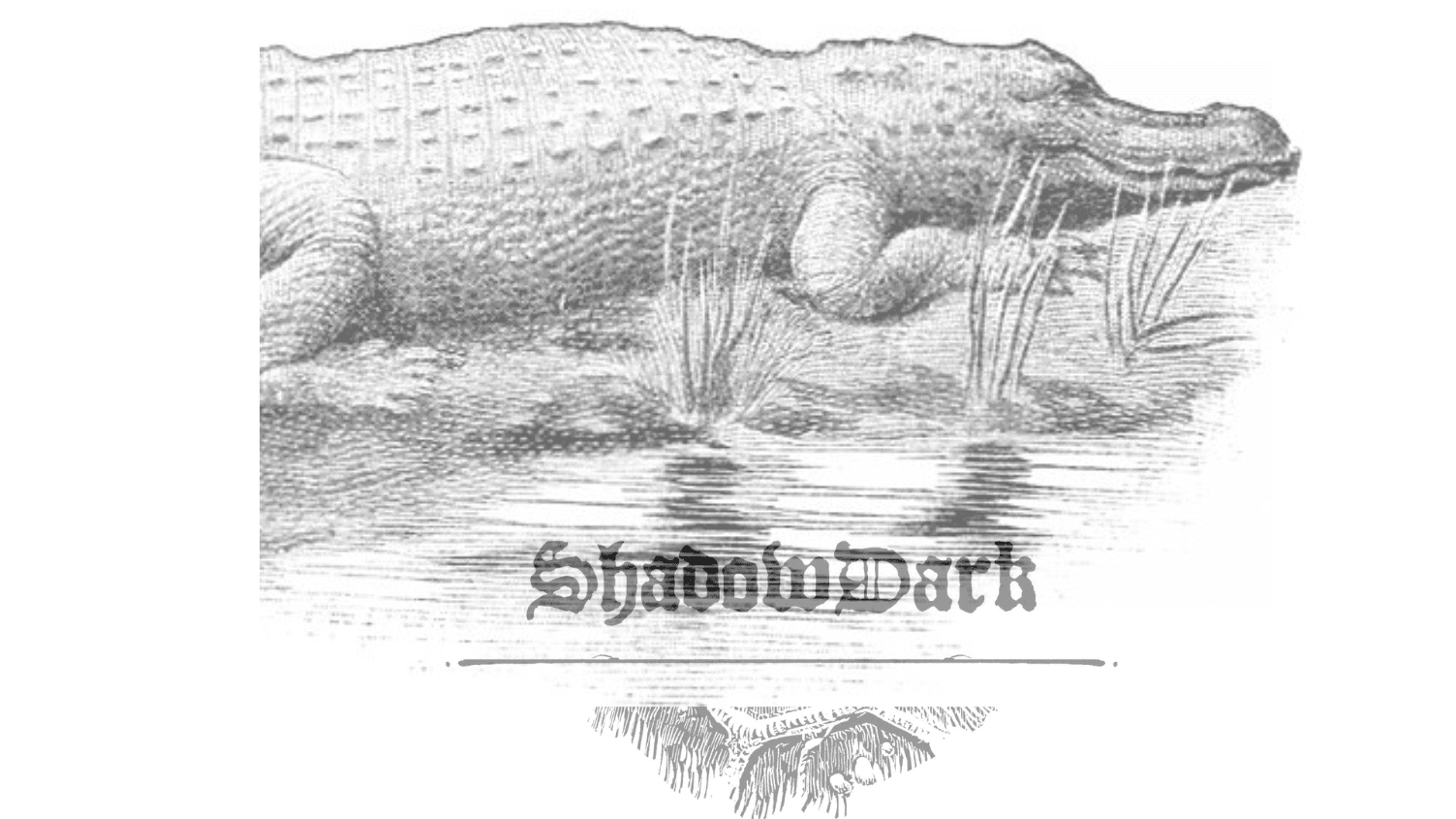 Secrets of Alligator Cove