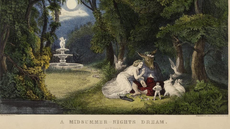 A Midsummer Night's Adventure