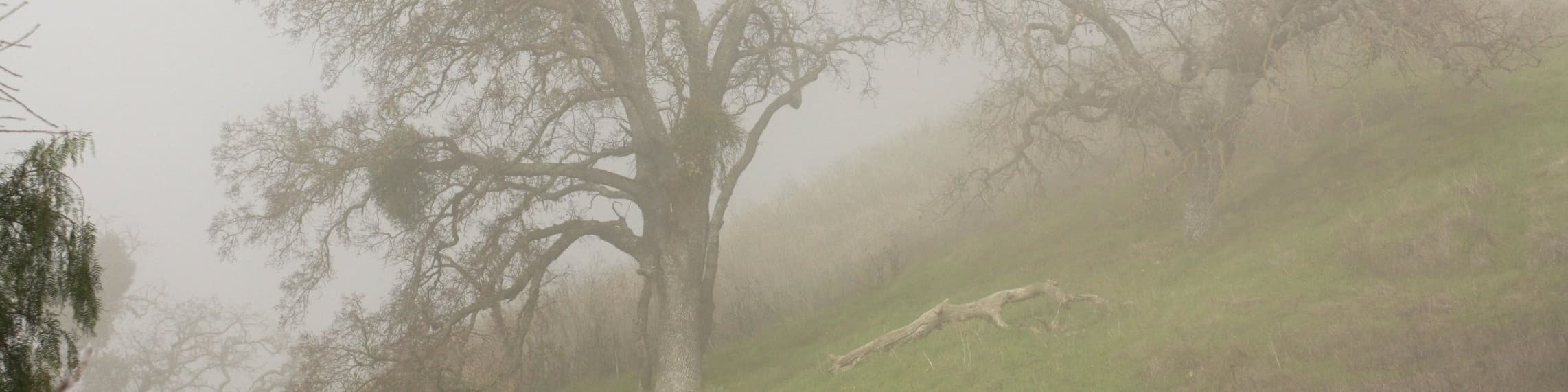 Natalie Van Horn - Timeless Adventures banner