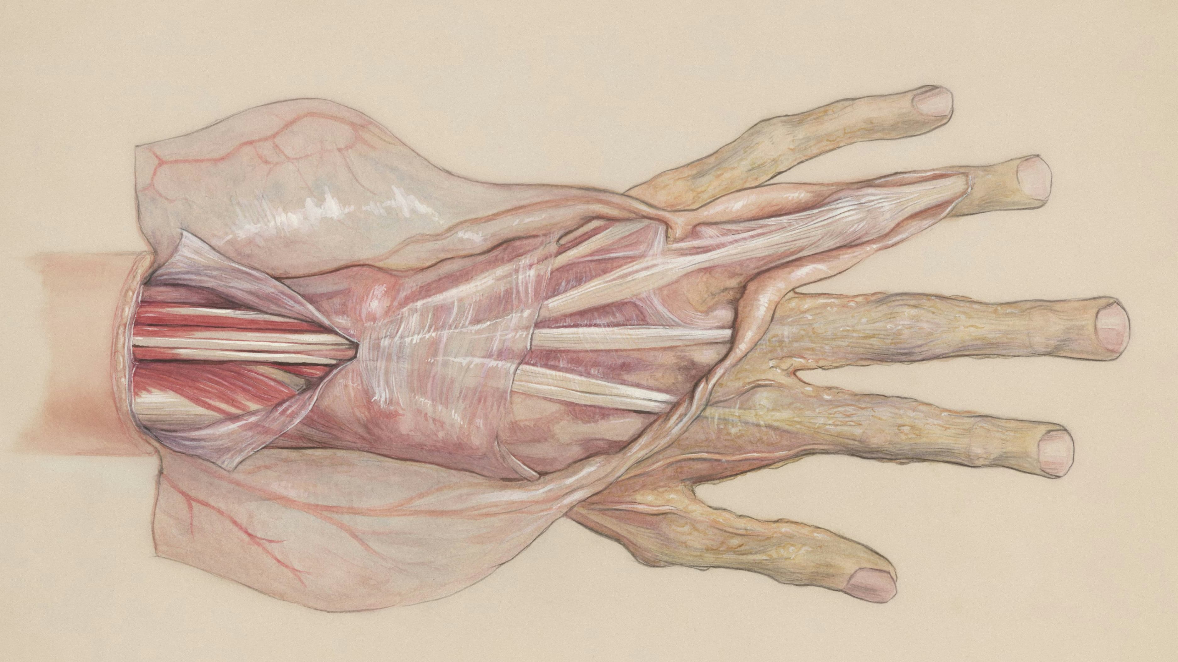 LAMORDIA: Gothic Steampunk Body Horror