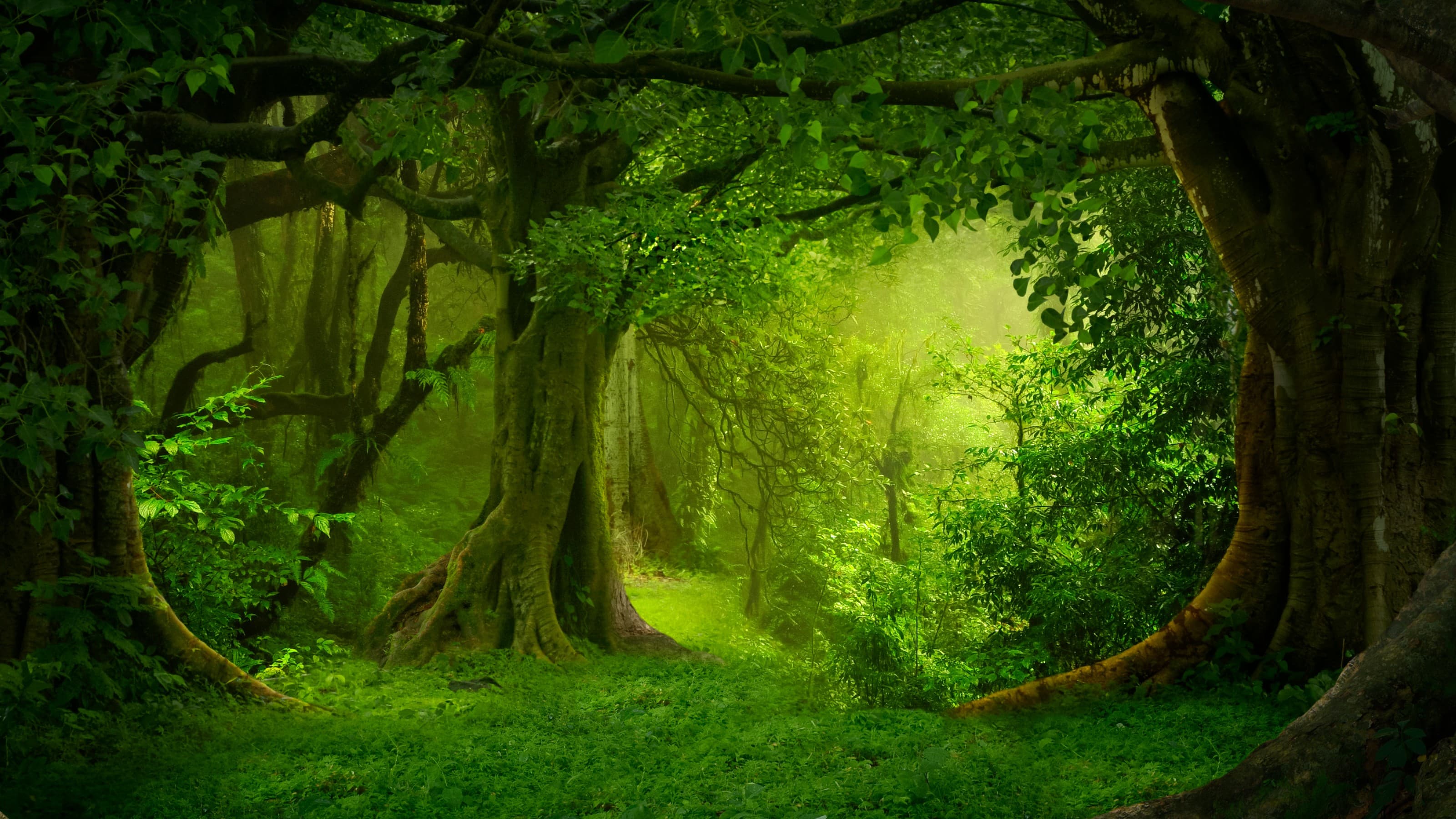 Witch's Brew (An intro to DnD mini-campaign for kids!)