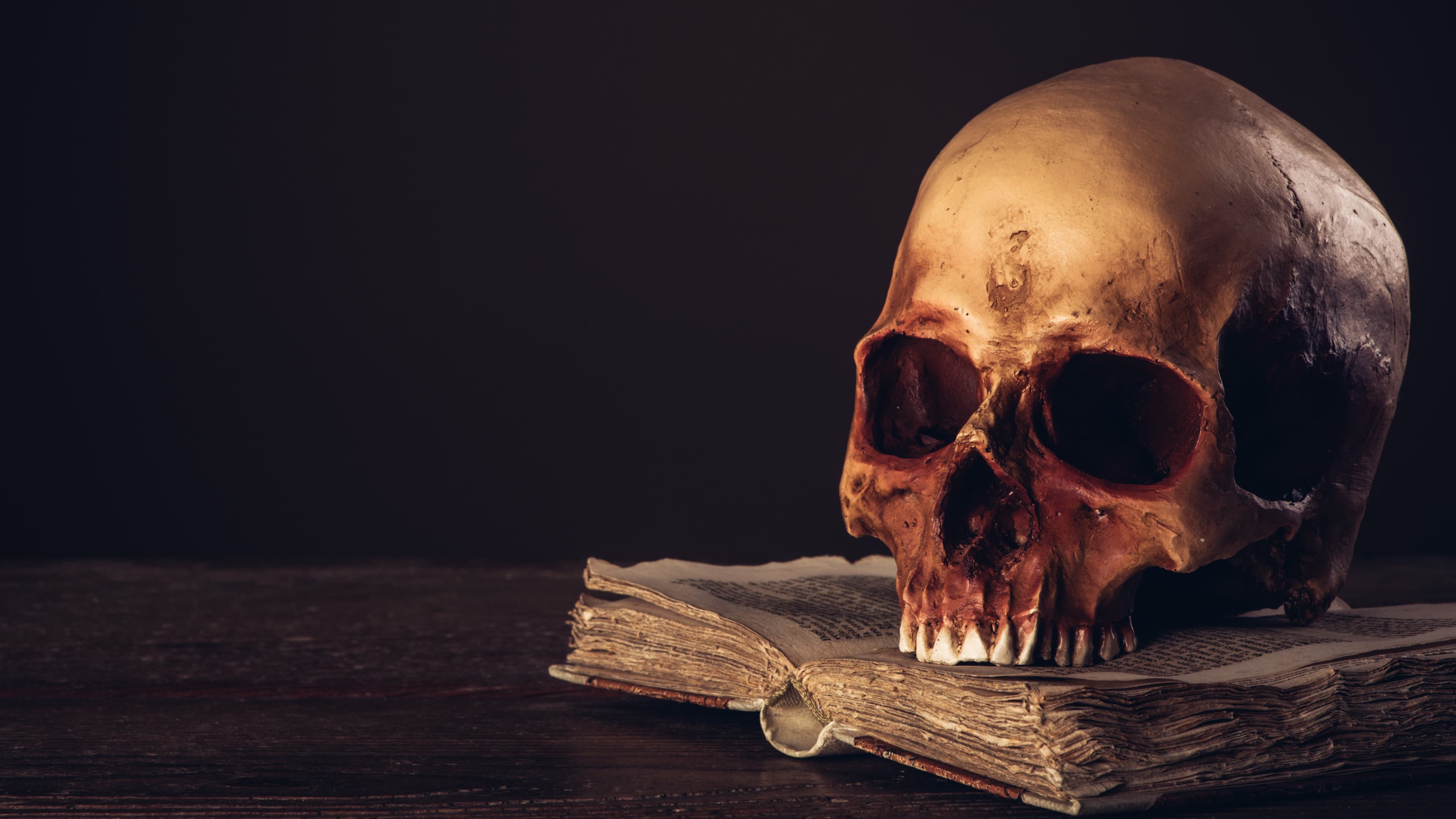 The Stolen Casefiles: The Last Mysteries of the Lone Archivist