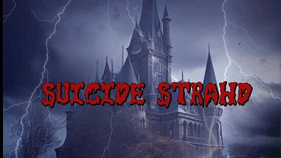 Suicide Strahd| Roleplay Heavy | Beginner's Welcome | LGBT Friendly | Gothic Horror | 