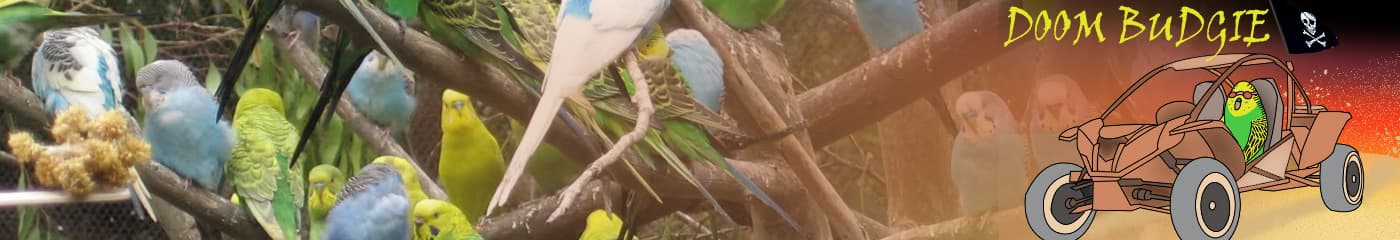 DoomBudgie banner