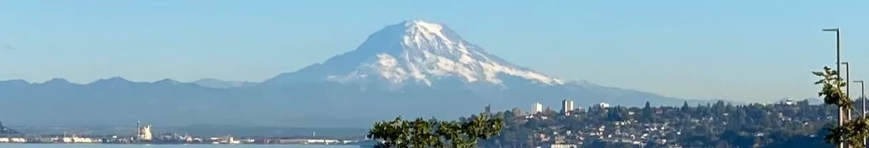 Matthew Fiore banner