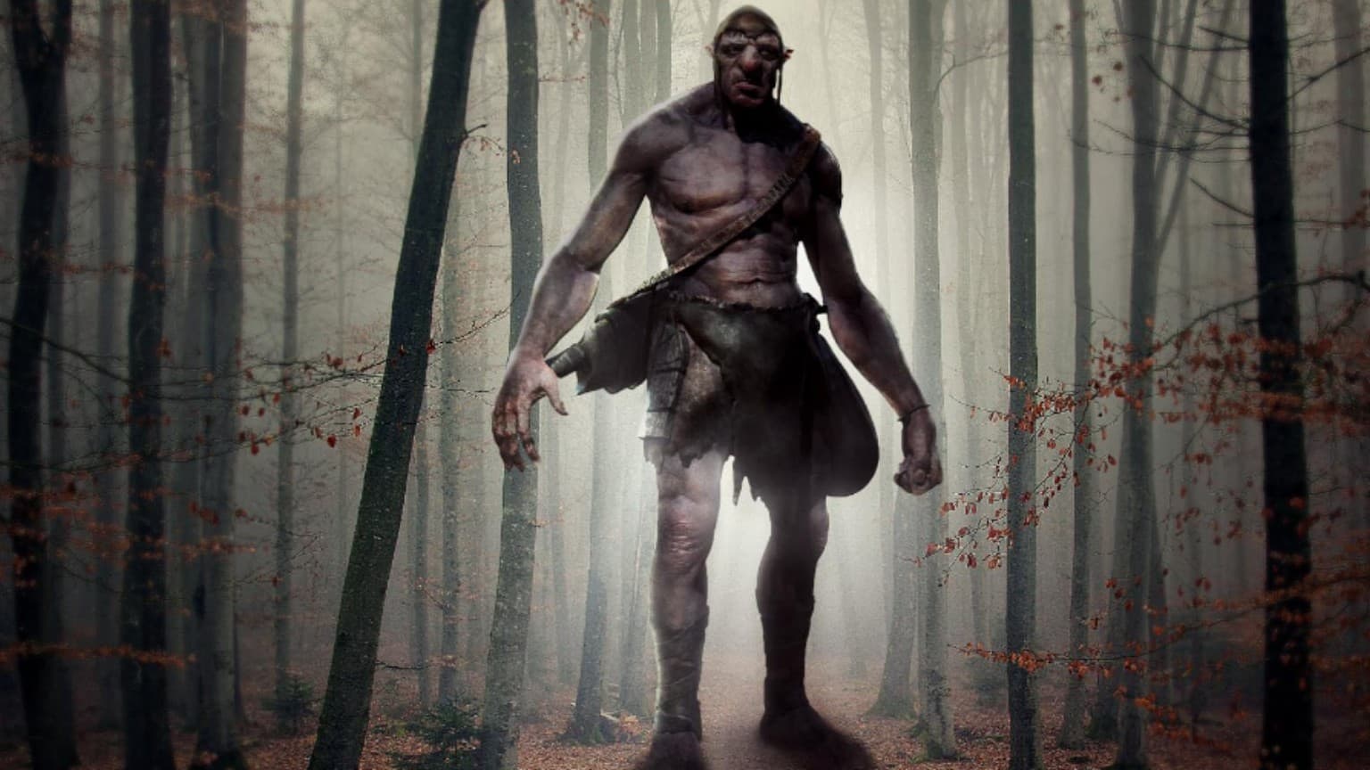 The Cult of the Veiled Mirror