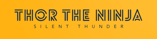 ThorTheNinja banner