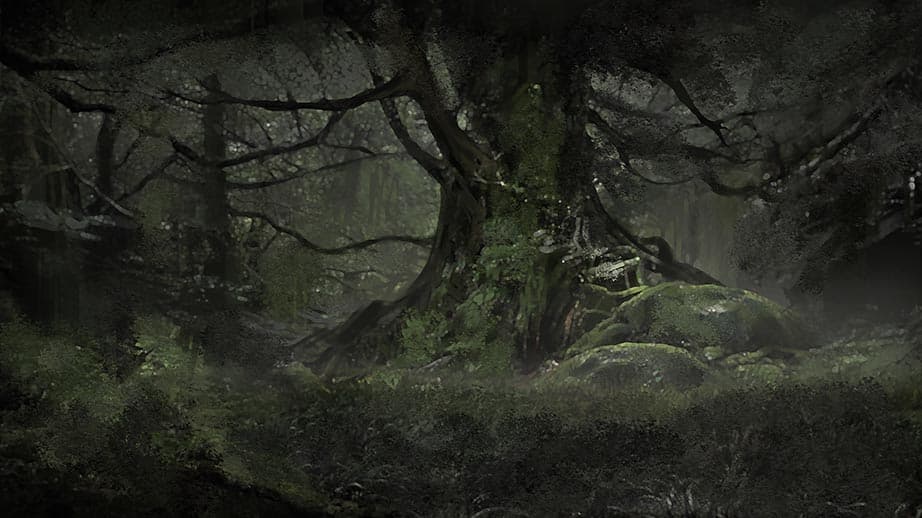 Play Dungeons & Dragons 5e Online Shadows in the Wood