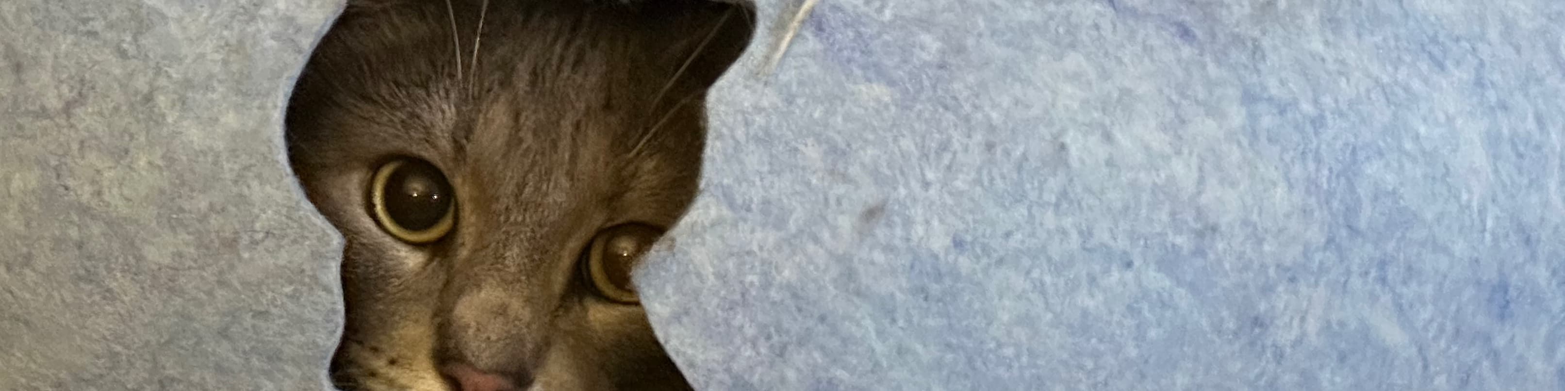 John Rummage | SpacelightIsWarm banner