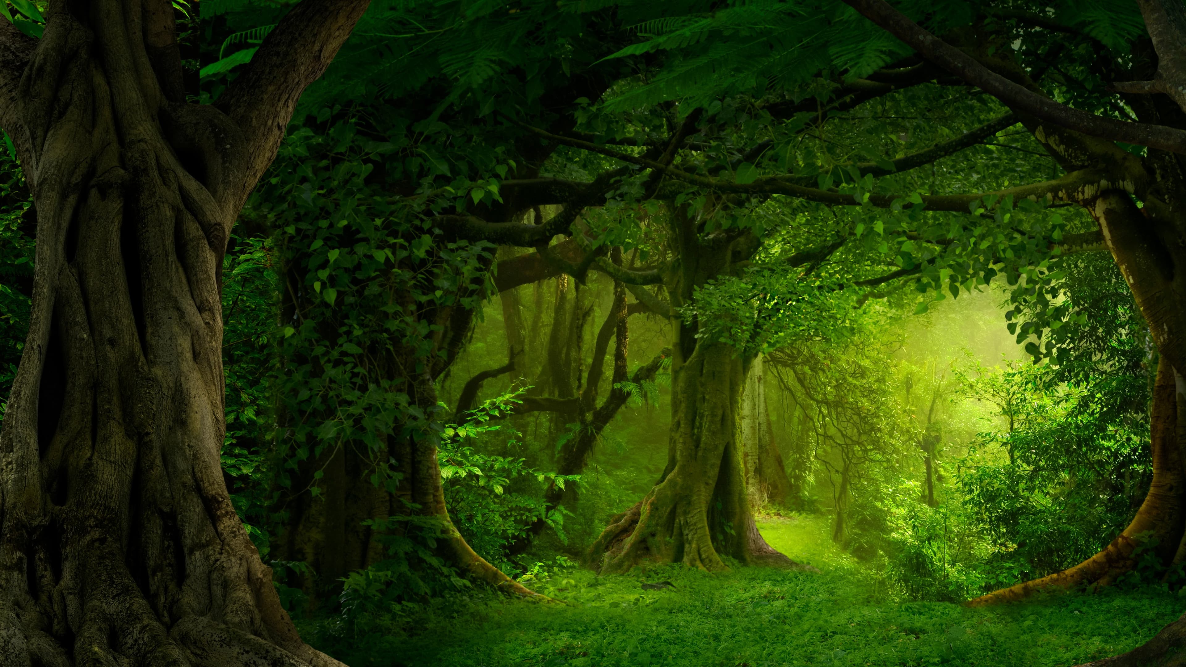 Witherwild: An Introduction