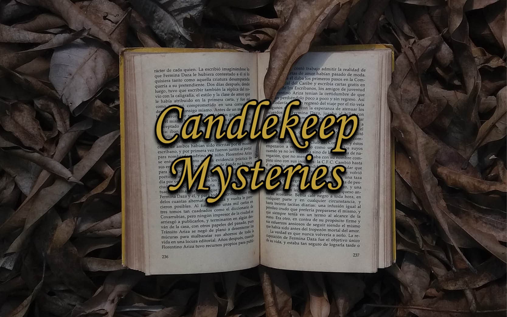 Play Dungeons & Dragons 5e Online A Candlekeep Mystery One Shot