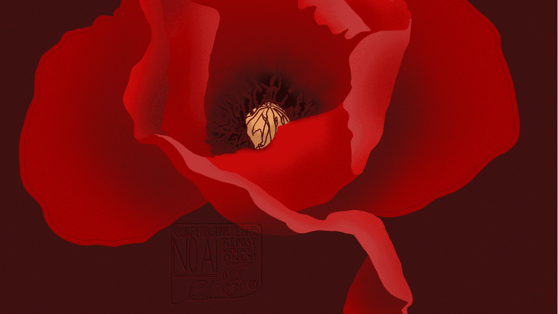 Paths & Poppies