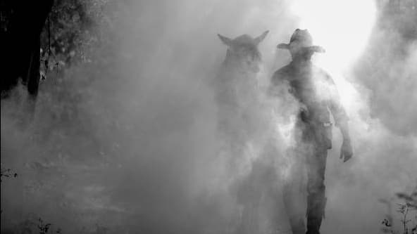 Curse of Strahd - Dark West (Beginner Friendly)